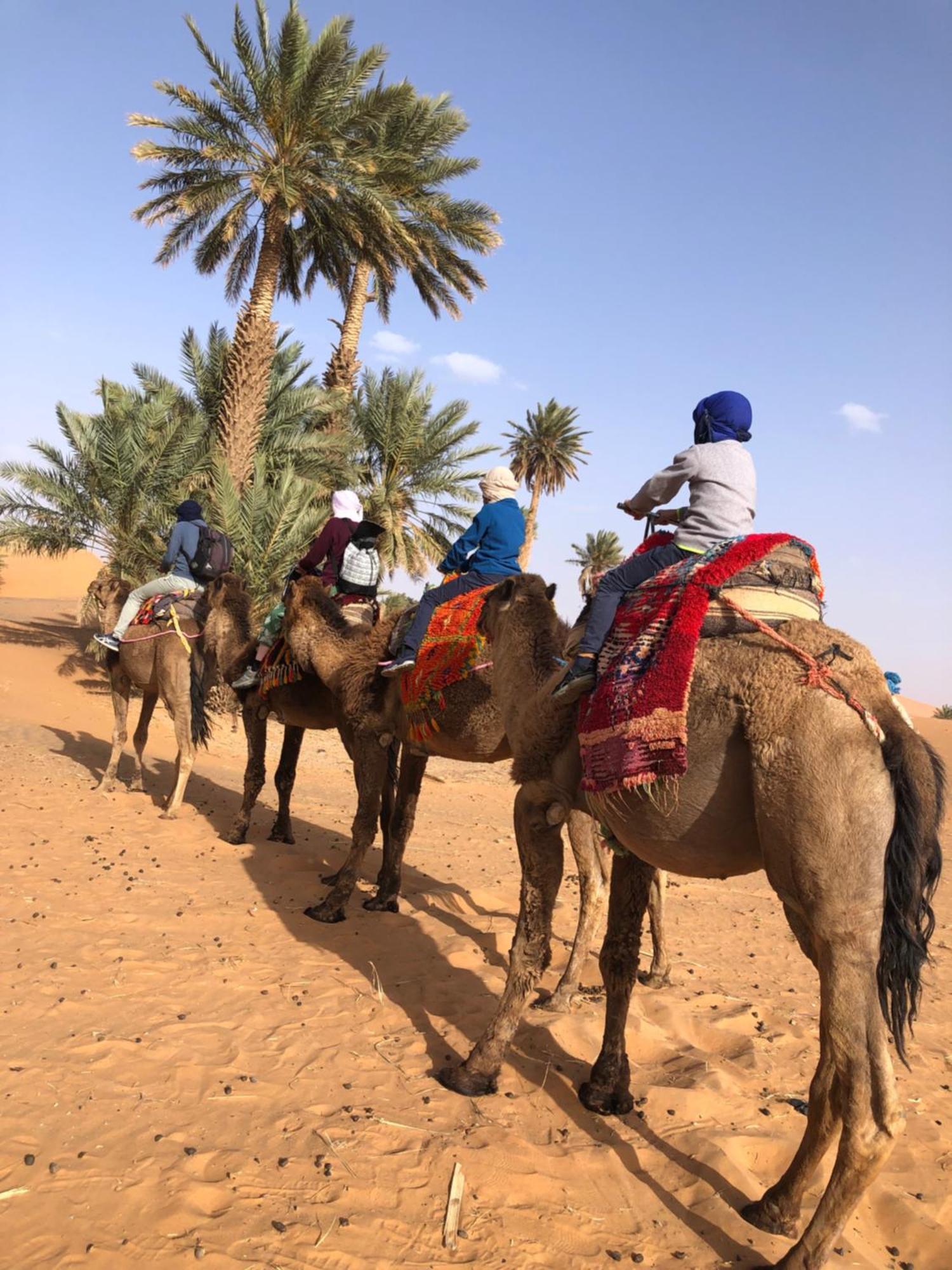 Bivouac Le Petit Prince Merzouga Exterior foto